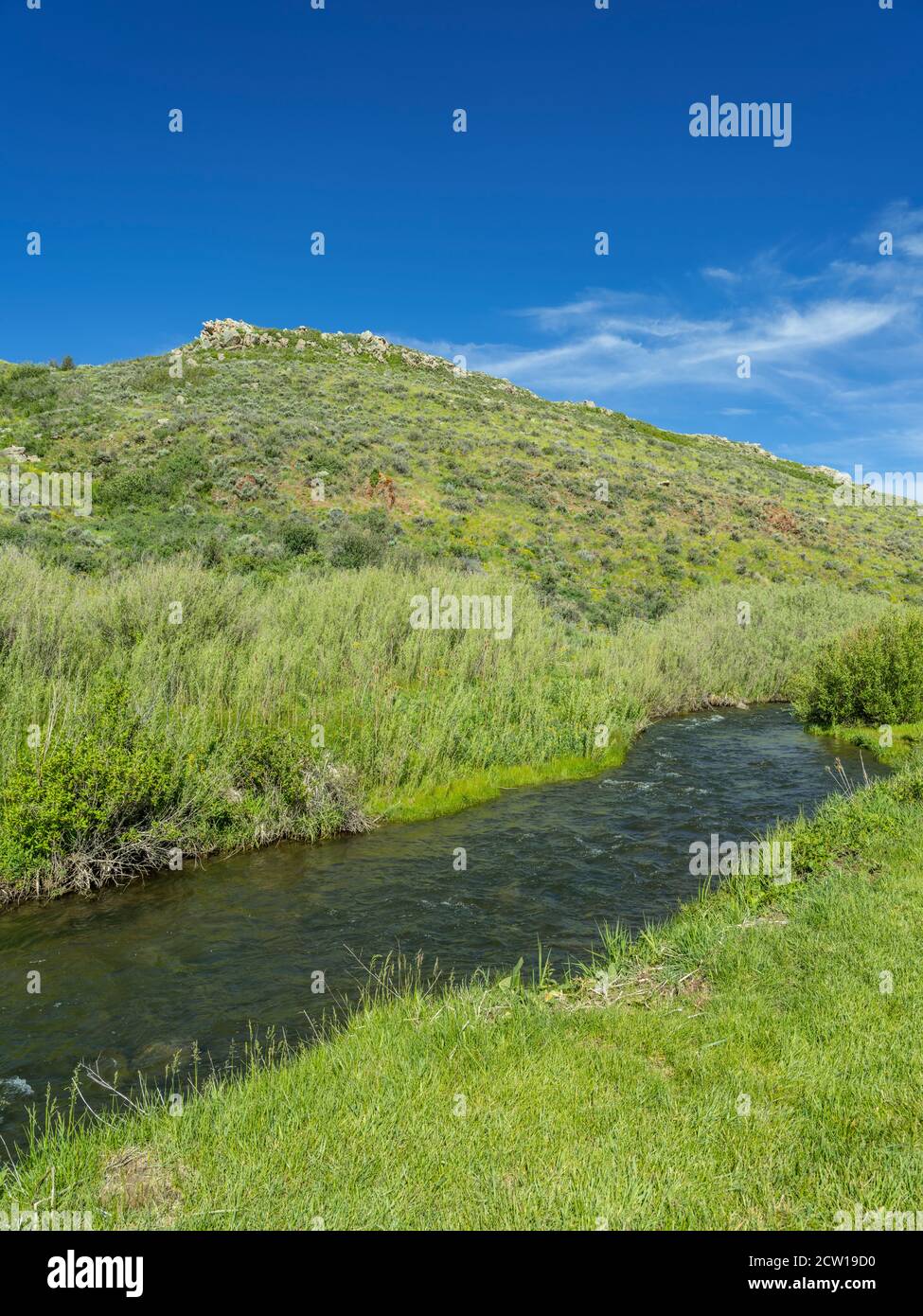 Pequeño arroyo de montaña, Park City, Utah, EE.UU Foto de stock