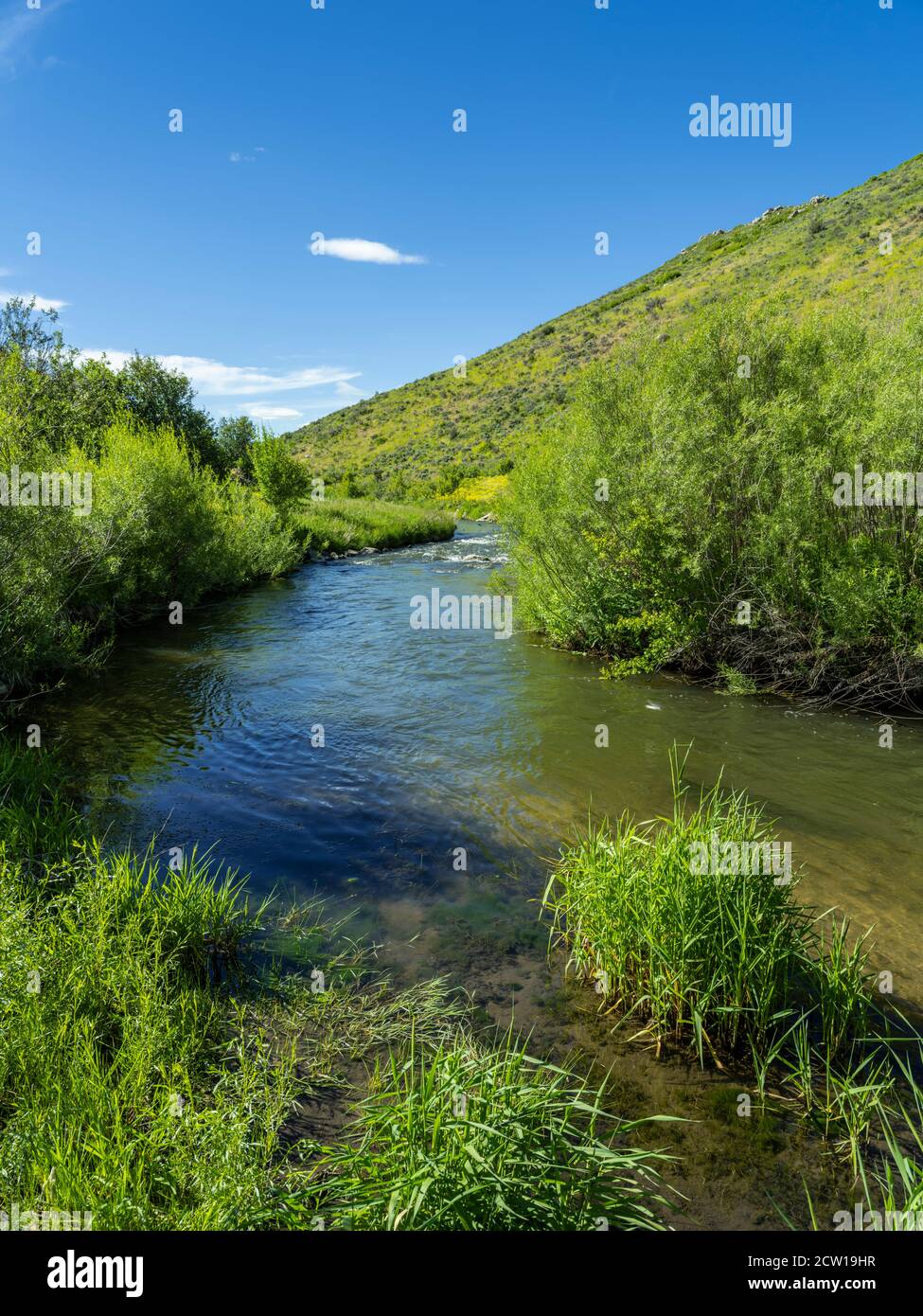 Pequeño arroyo de montaña, Park City, Utah, EE.UU Foto de stock