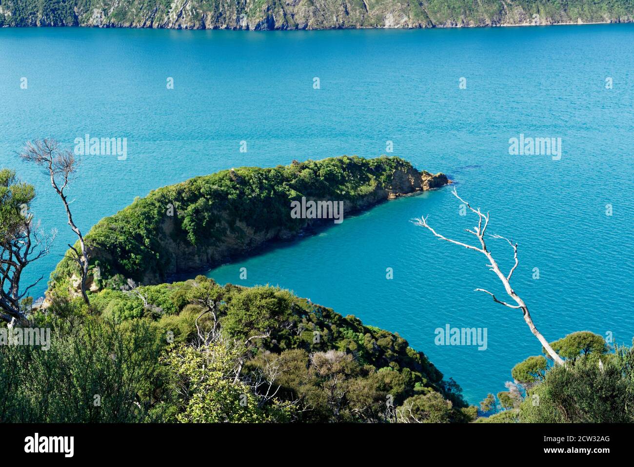 Sitio histórico maorí pa en la isla de Motuara. Una reserva escénica e histórica que se encuentra en la entrada de Totaranui / Queen Charlotte Sound. NZ. Foto de stock