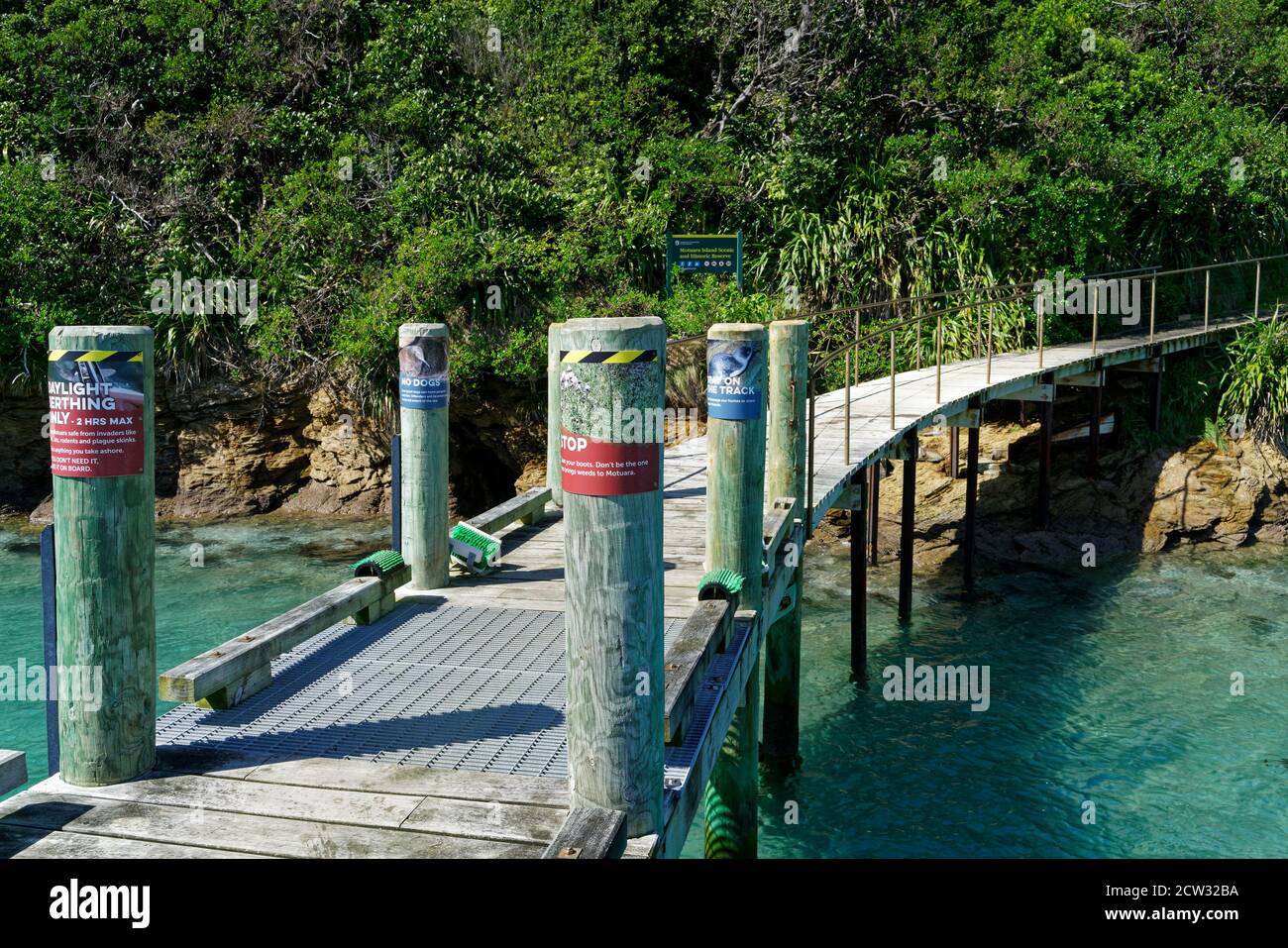 Caminando desde el embarcadero hacia la reserva escénica e histórica de la Isla Motuara, Marlborough Sounds, Nueva Zelanda. Foto de stock