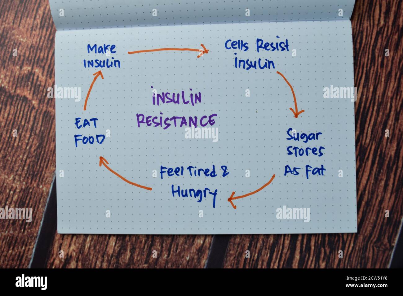 Resistencia a la insulina escribir en un libro con palabras clave tabla de madera aislada. Foto de stock