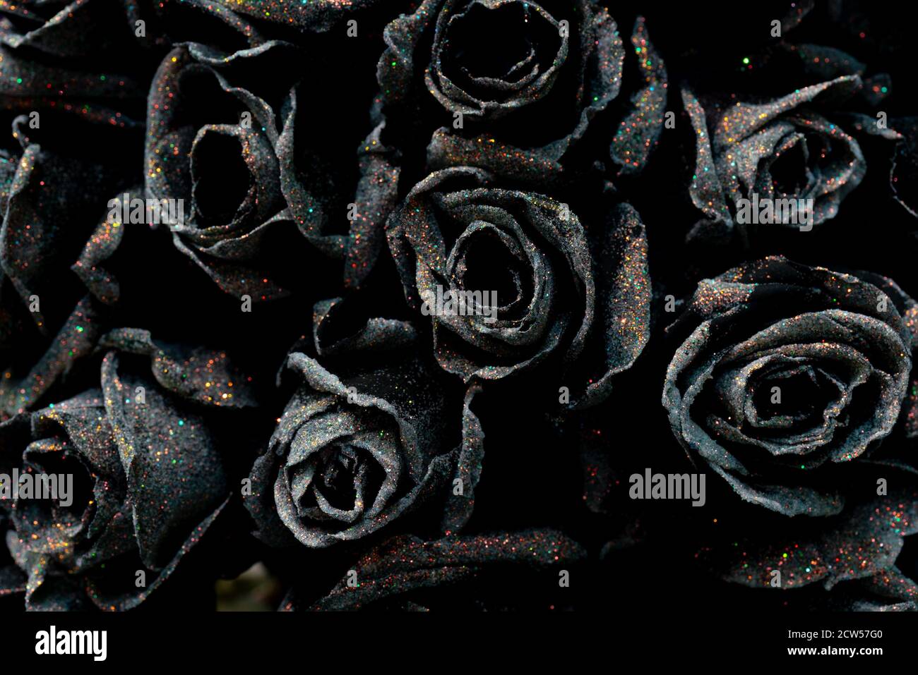 Hermosas rosas negras. Fondo de flores naturales. Textura de pétalos  delicados Fotografía de stock - Alamy