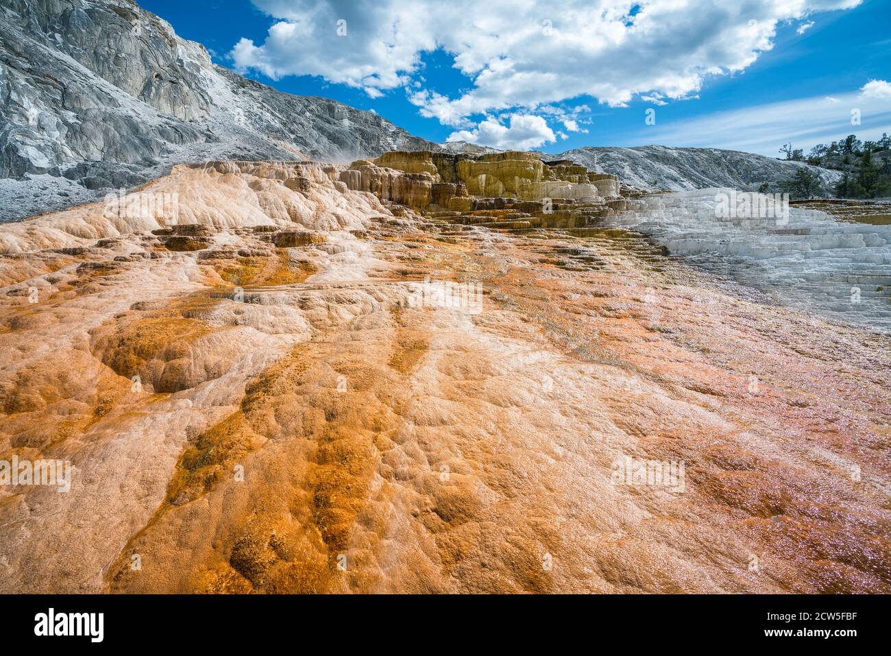 Mammoth Hot Springs en el Parque Nacional yellowstone, wyoming, estados unidos Foto de stock