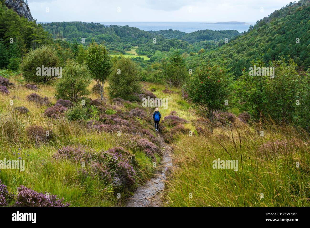 Descenso de la sección de bosque caminar a través de Flowerdale Glen rumbo de regreso a Gairloch, Wester Ross, Highland Region, Escocia, Reino Unido Foto de stock