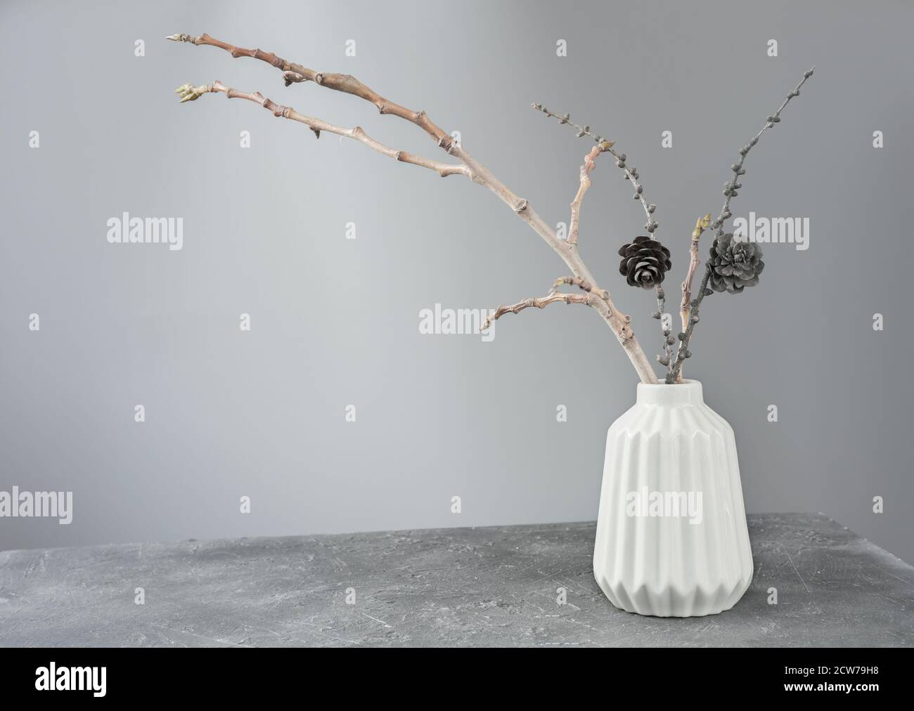 decoración interior de estilo minimalista. ramas secas de árboles en jarrón  blanco. conos de pino en las ramas. decoración sencilla de otoño o otoño  Fotografía de stock - Alamy