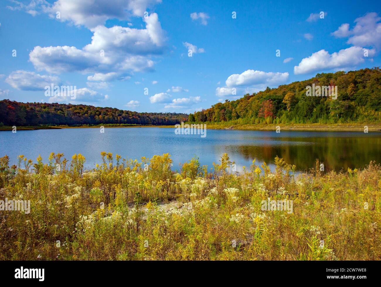 Lower Woods Pond es un lago natural de 50 acres en el norte del condado de Wayne, Pensilvania. Durante años la salida fue amortiguada para aumentar el tamaño del lago a 91 Foto de stock