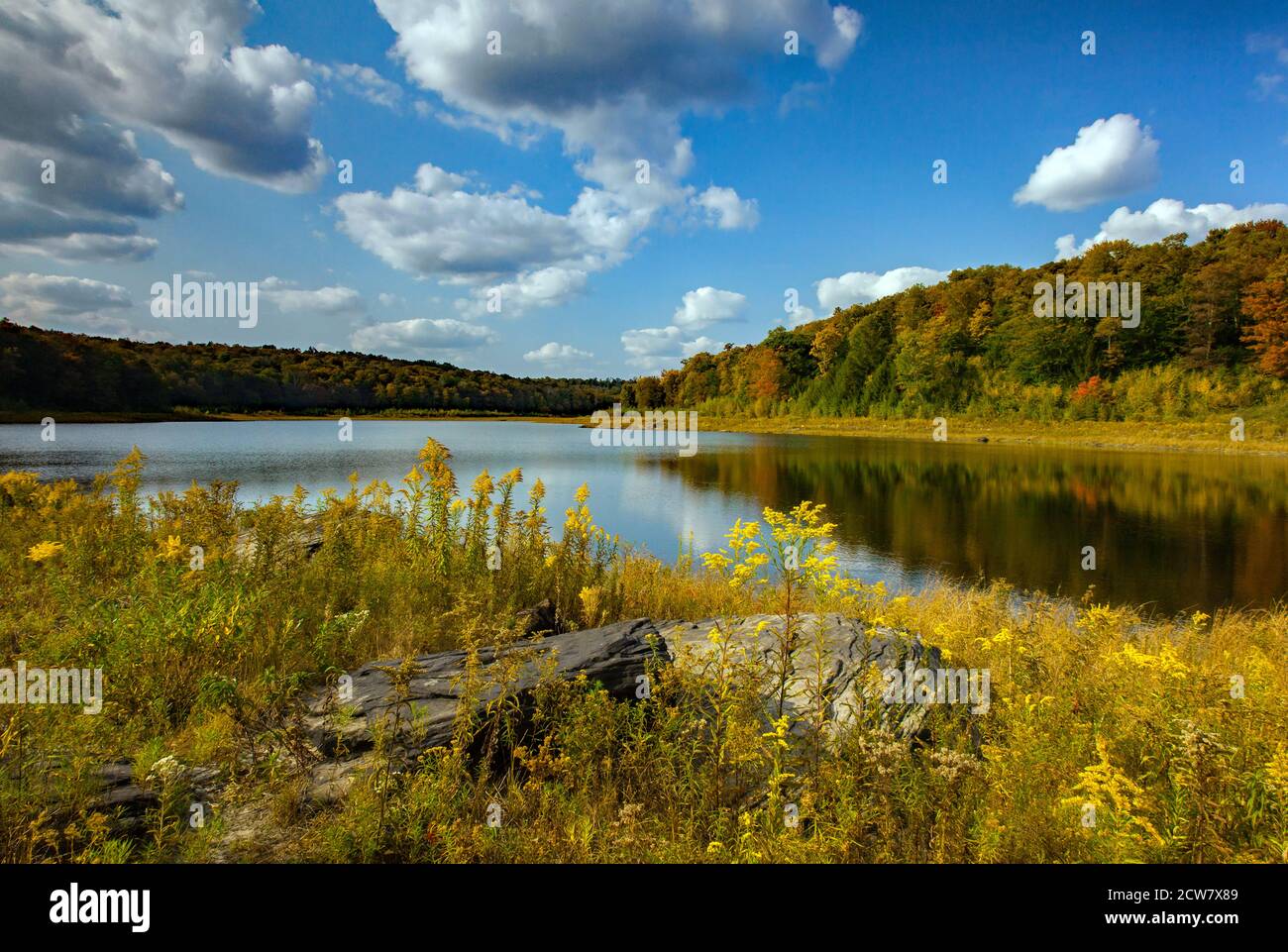 Lower Woods Pond es un lago natural de 50 acres en el norte del condado de Wayne, Pensilvania. Durante años la salida fue amortiguada para aumentar el tamaño del lago a 91 Foto de stock