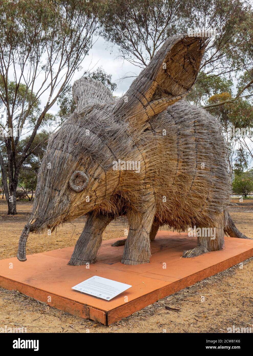 Escultura de paja de trigo de bilby diseñado por Shingo Miyajima y Masaharu Noguchi Wara Art Trail York Western Australia. Foto de stock