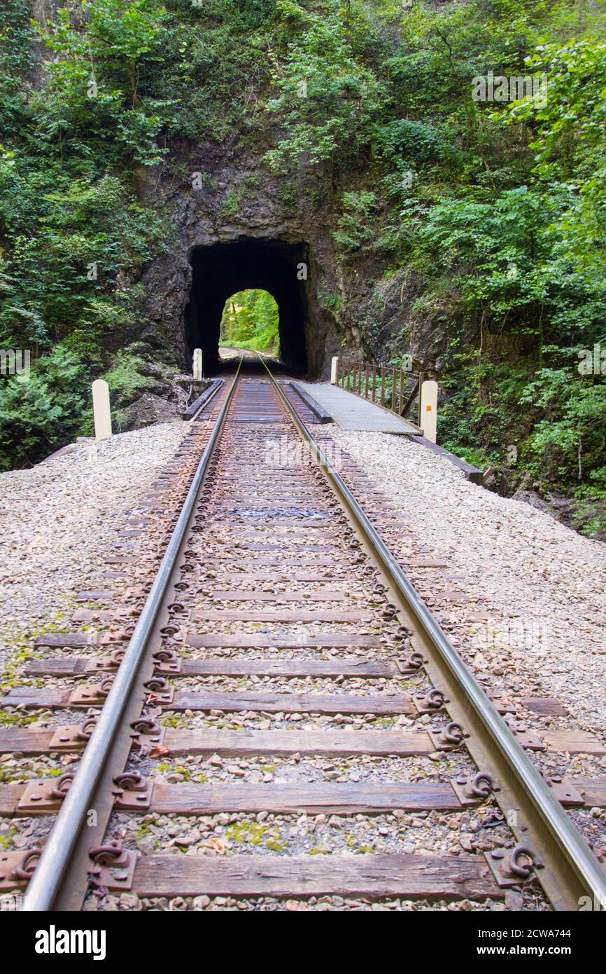 Túnel Natural túnel del ferrocarril es el homónimo y la pieza central del Parque Estatal del Túnel Natural en el estado de Virginia. Foto de stock