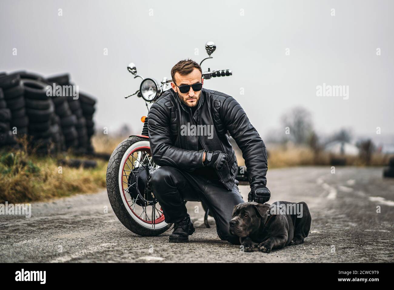 Perro En Moto Fotos E Imagenes De Stock Alamy