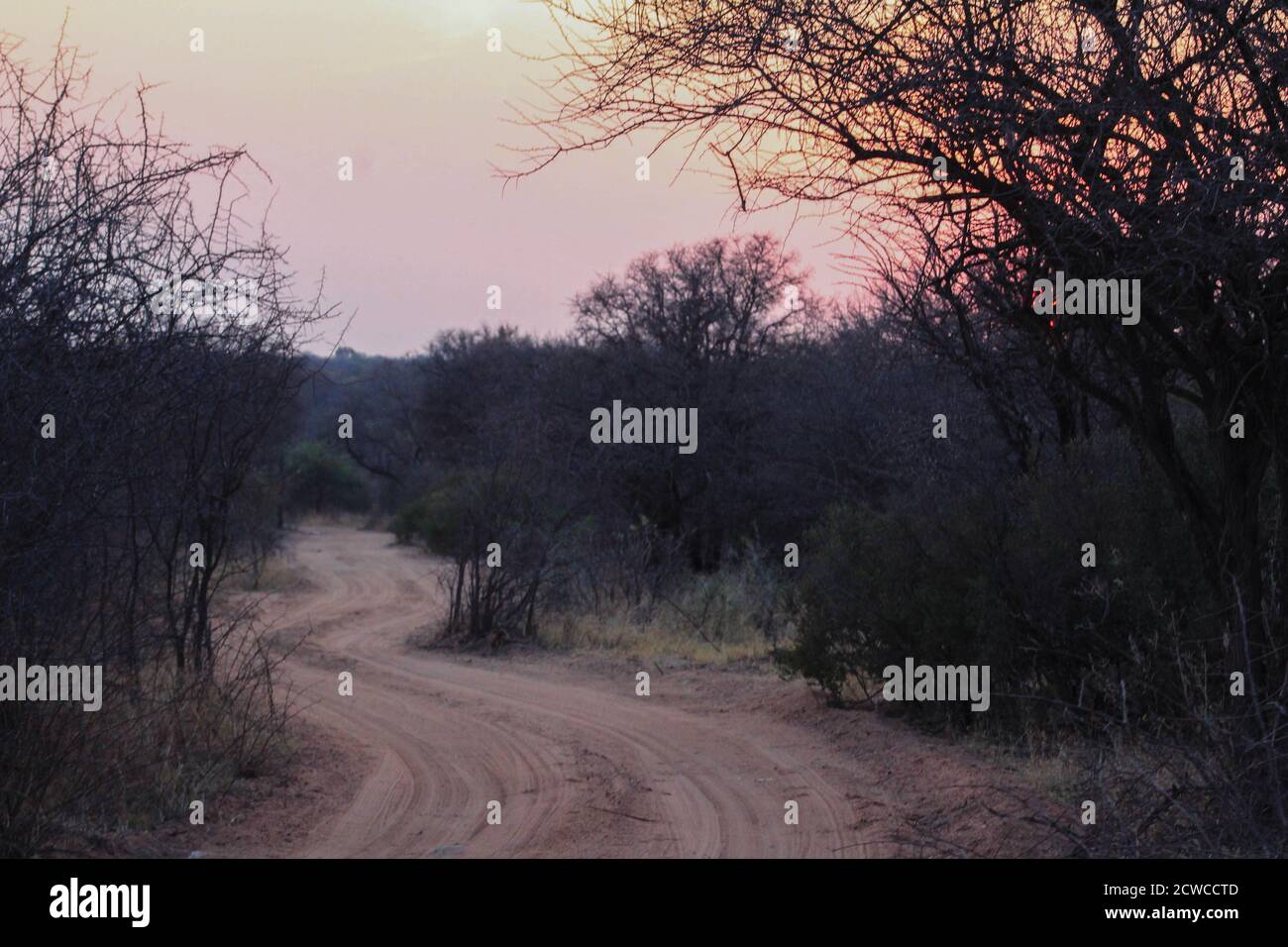 Camino de tierra en el bushveld con la puesta de sol Foto de stock