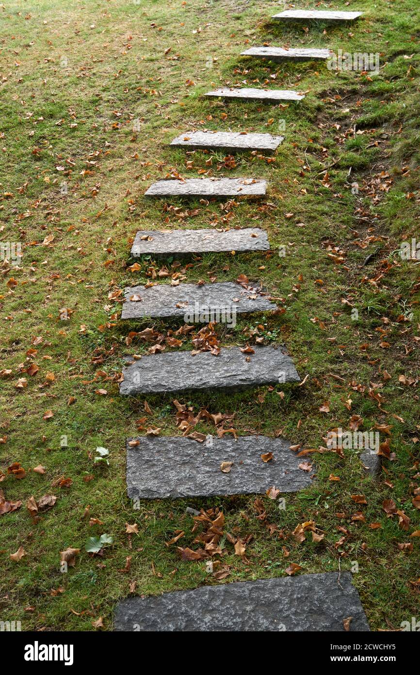 Escalones de piedra natural que conducen a una pendiente de hierba Foto de stock