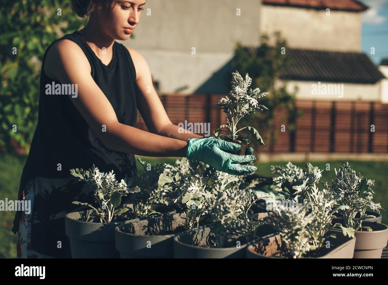 Flores para macetas mujer fotografías e imágenes de alta resolución - Alamy Flores para macetas mujer fotografías e imágenes de alta resolución - Alamy
