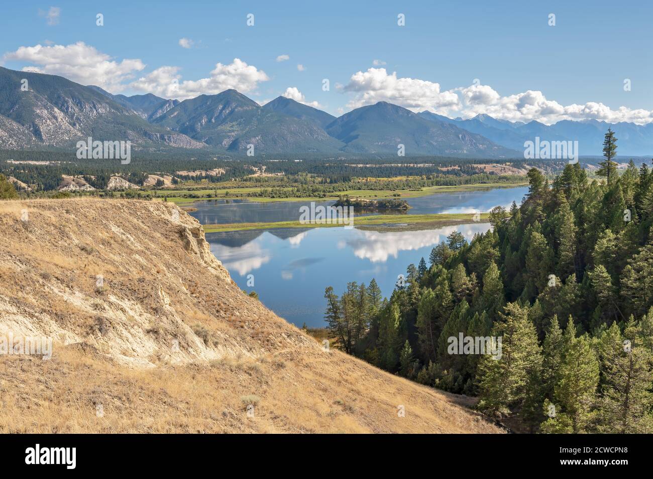 Humedales en el Área Nacional de vida Silvestre de Columbia (también conocida como Wilmer Bird Sanctuary) en Wilmer, Columbia Británica, Canadá Foto de stock