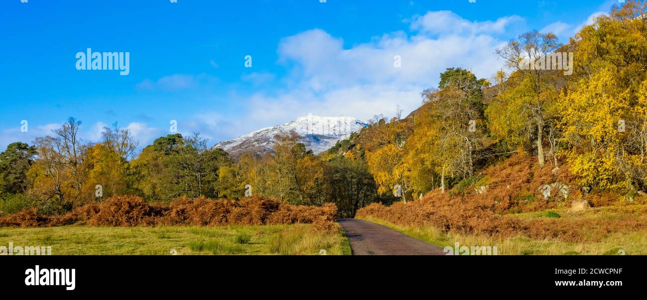 Una vista panorámica de Glen Strathfarrar en las tierras altas de Escocia, durante otoño o otoño con abedul de plata, salobre dorado y montaña cubierta de nieve Foto de stock