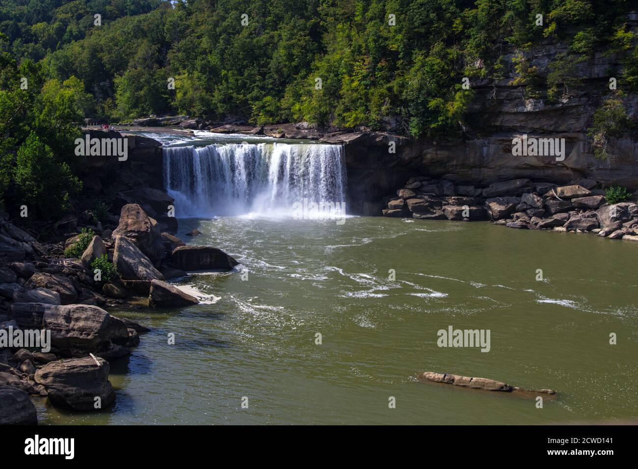 La hermosa Cumberland Falls es la pieza central del Parque Estatal Cumberland Falls en Corbin, Kentucky, Estados Unidos. Foto de stock