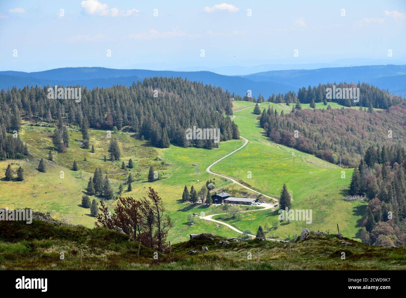 Vista panorámica de la Selva Negra con granja en el valle. Foto de stock