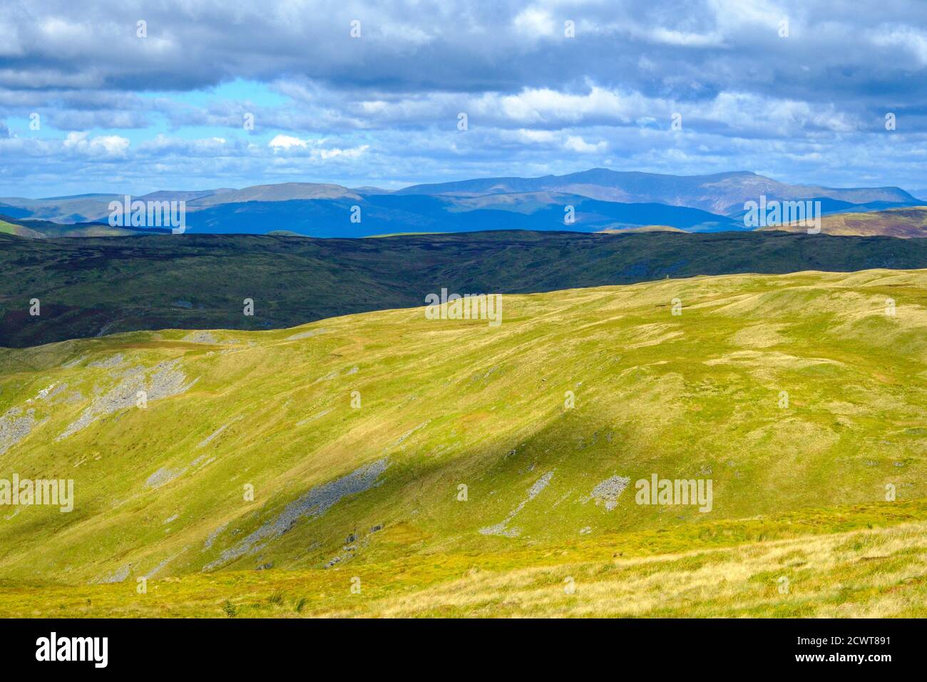 Las montañas Cámbricas de Gales medio cerca de la montaña de Plynlimon, a veces conocido como un "desierto verde", Cader Idris en la distancia Foto de stock