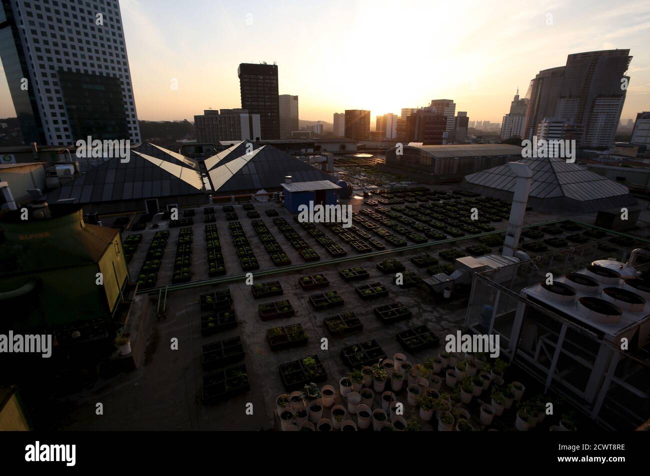 Sao Paulo Visto Desde La Terraza De La Azotea Del Edificio De Italia Brasil Fotografia De Stock Alamy