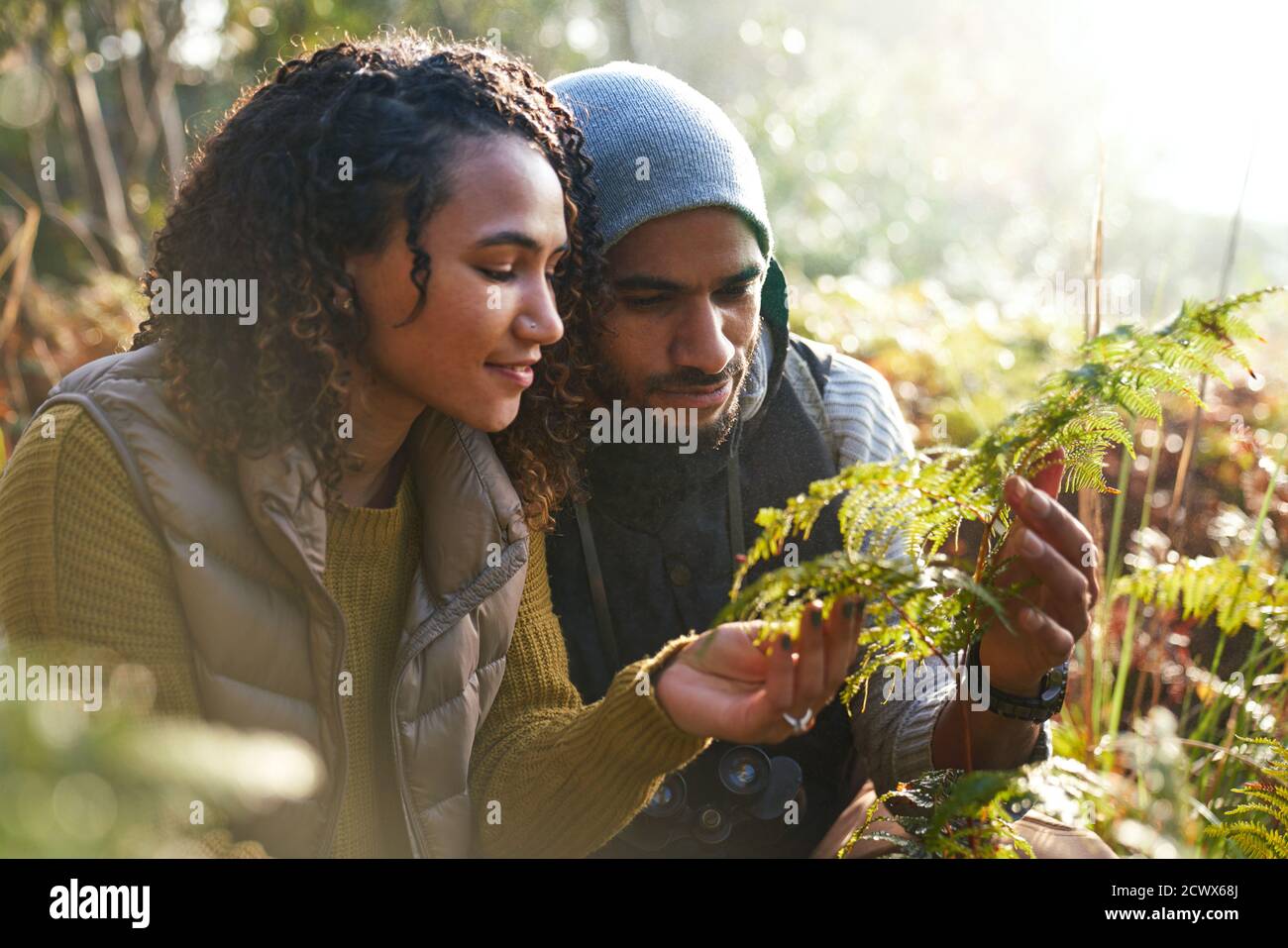 Curioso joven pareja de senderismo mirando helecho en los bosques Foto de stock