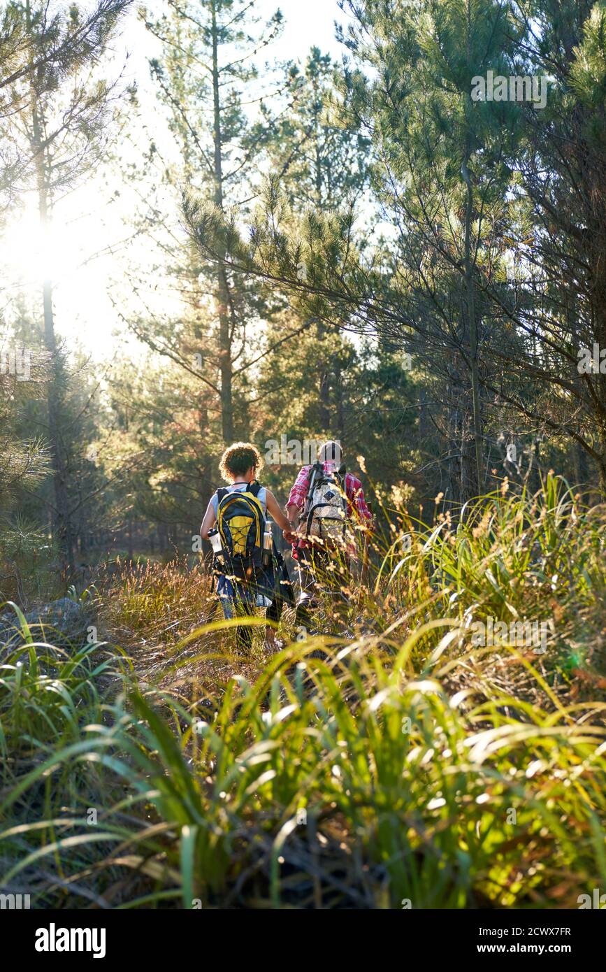 Joven pareja con mochilas senderismo en hierba alta en soleado bosques Foto de stock
