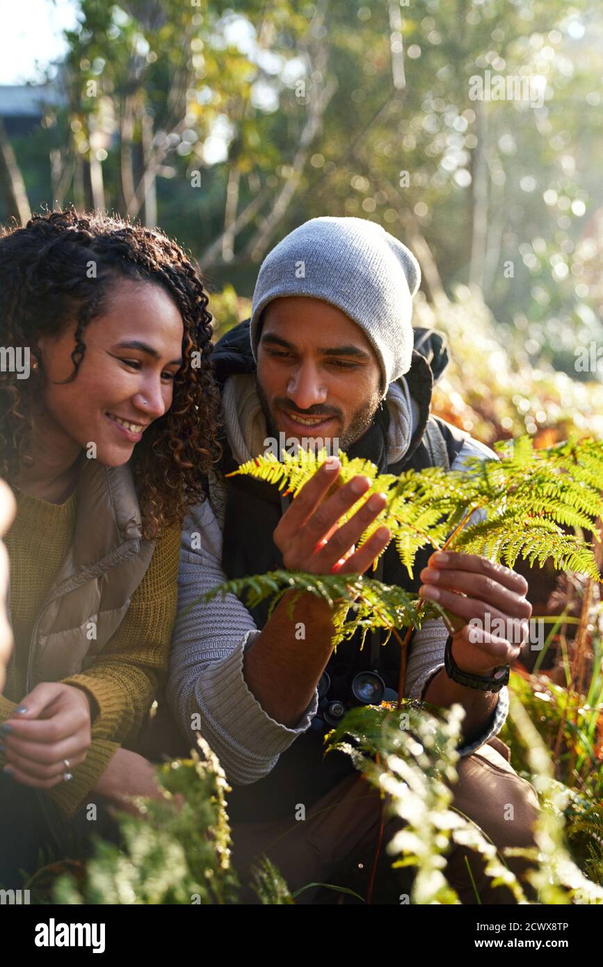 Feliz joven pareja de senderismo examinando las hojas de helecho Foto de stock