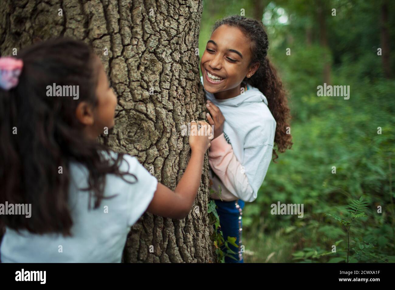 Hermanas felices jugando en el tronco del árbol en el bosque Foto de stock