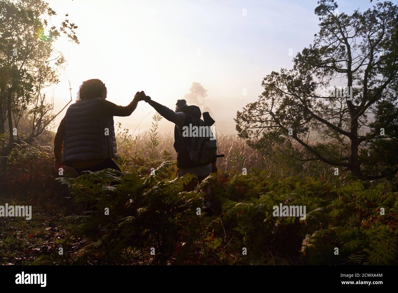 Silueta joven pareja sosteniendo las manos caminando en el bosque al amanecer Foto de stock