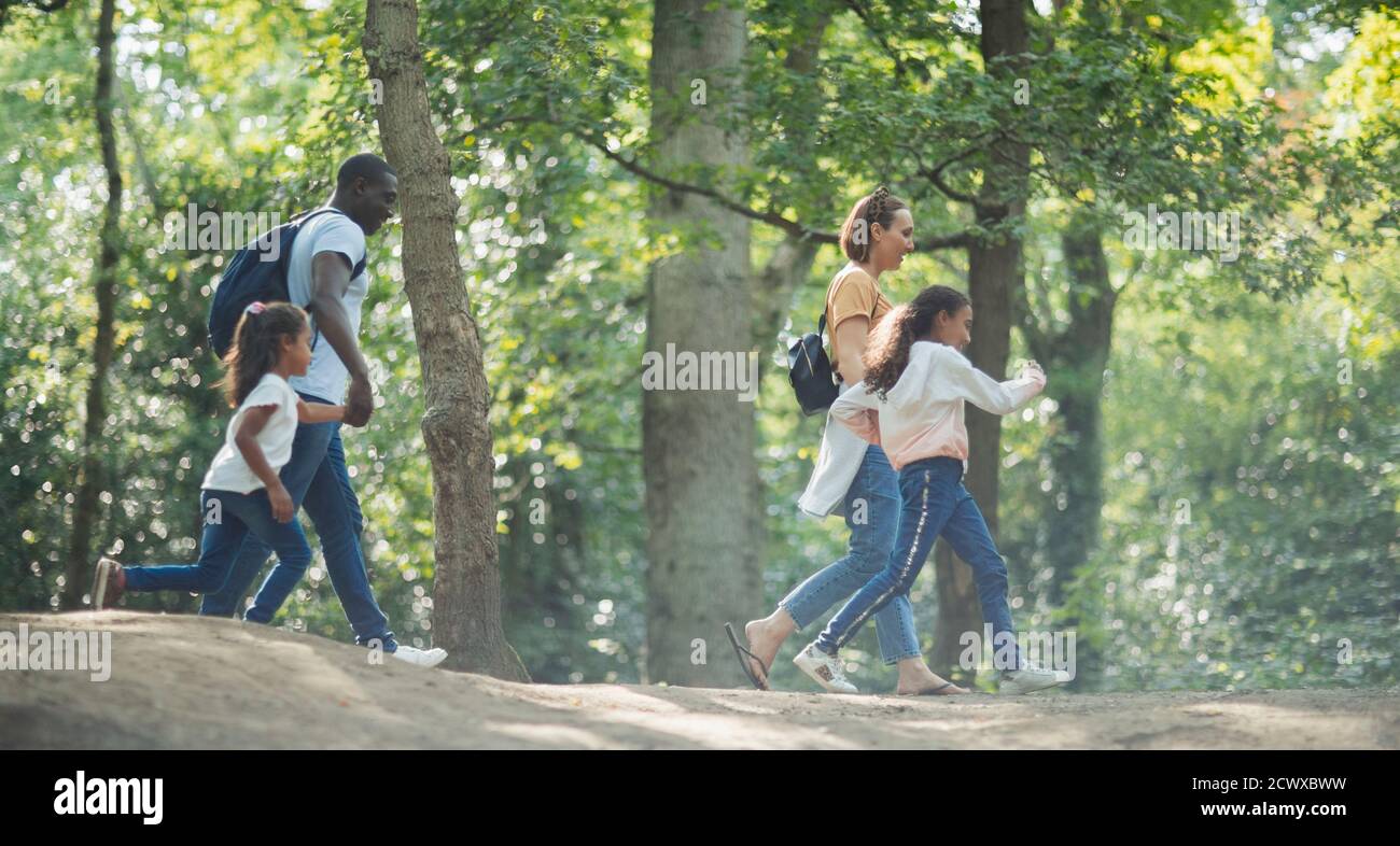 Familia senderismo por los árboles en los bosques de verano Foto de stock