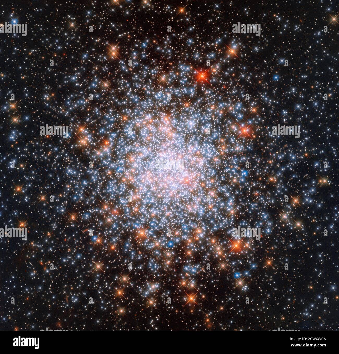 El Hubble captura estrellas a través de generaciones generalmente, los grupos de estrellas globulares tienden a tener estrellas realmente viejas, pero @NASAHubble encontró una cerca de la vía Láctea con una profusión de estrellas más jóvenes. Llamado NGC 1866, este cúmulo se encuentra en los mismos bordes de la Gran Nube Magallanes, una pequeña galaxia ubicada cerca de la vía Láctea. El cúmulo fue descubierto en 1826 por el astrónomo escocés James Dunlop, quien catalogó miles de estrellas y objetos de cielo profundo durante su carrera. NGC 1866 también está situado lo suficientemente cerca como para que sus estrellas puedan ser estudiadas individualmente - ninguna hazaña pequeña dada la mamut distancias invol Foto de stock