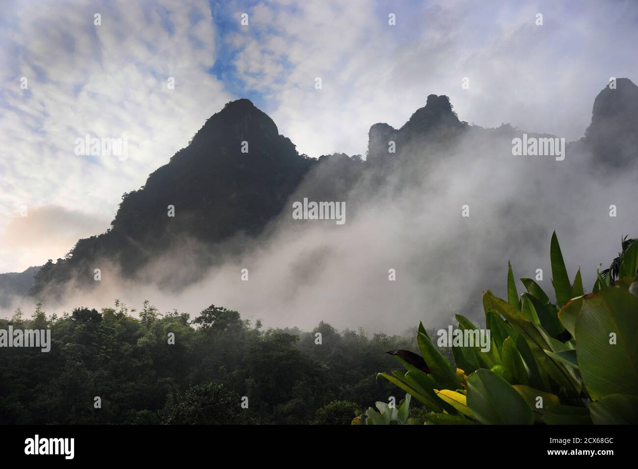 Montañas Misty, Elephant Hills, Parque Nacional Khao Sok, Tailandia Foto de stock