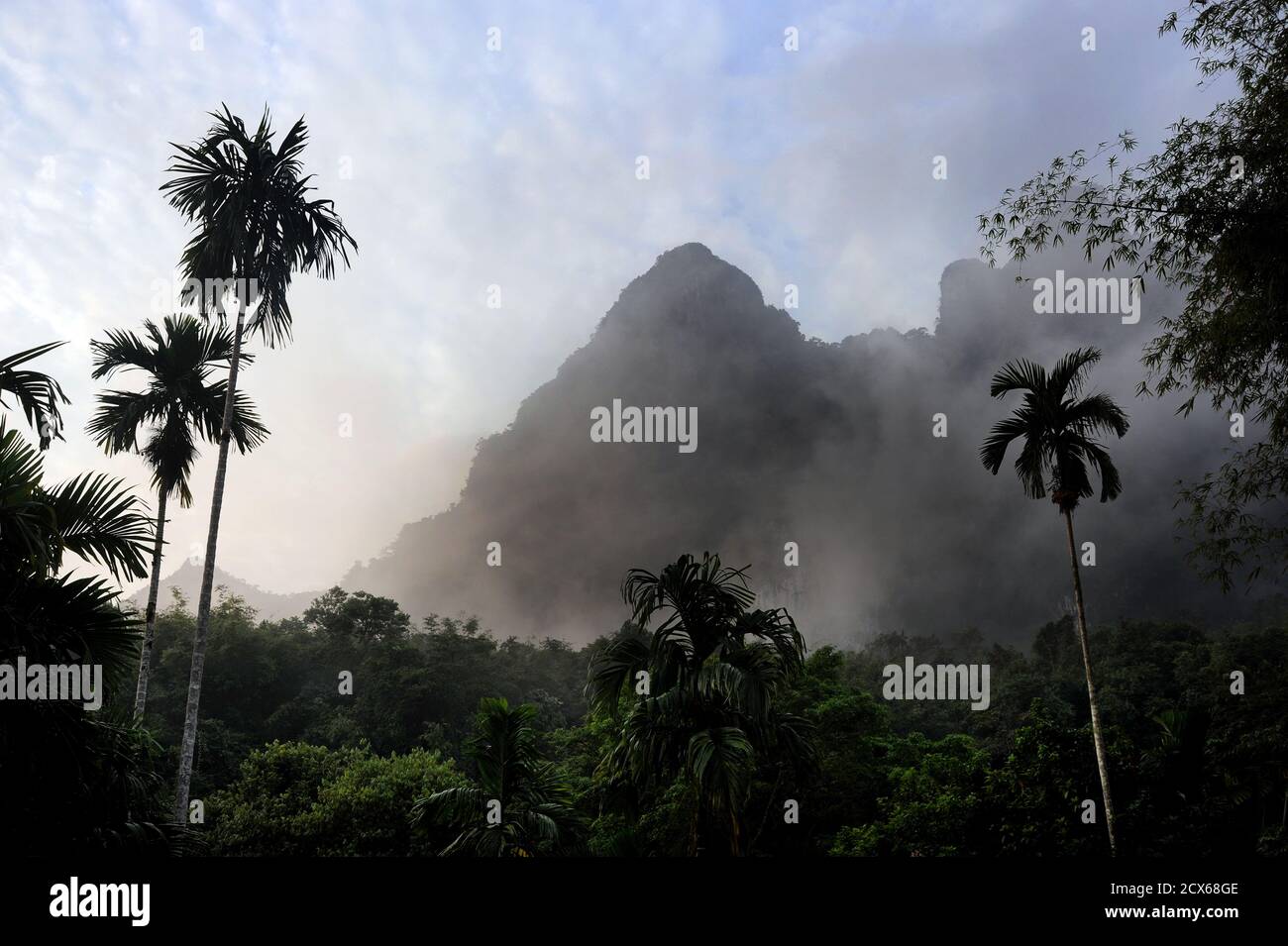 Montañas Misty, Elephant Hills, Parque Nacional Khao Sok, Tailandia Foto de stock