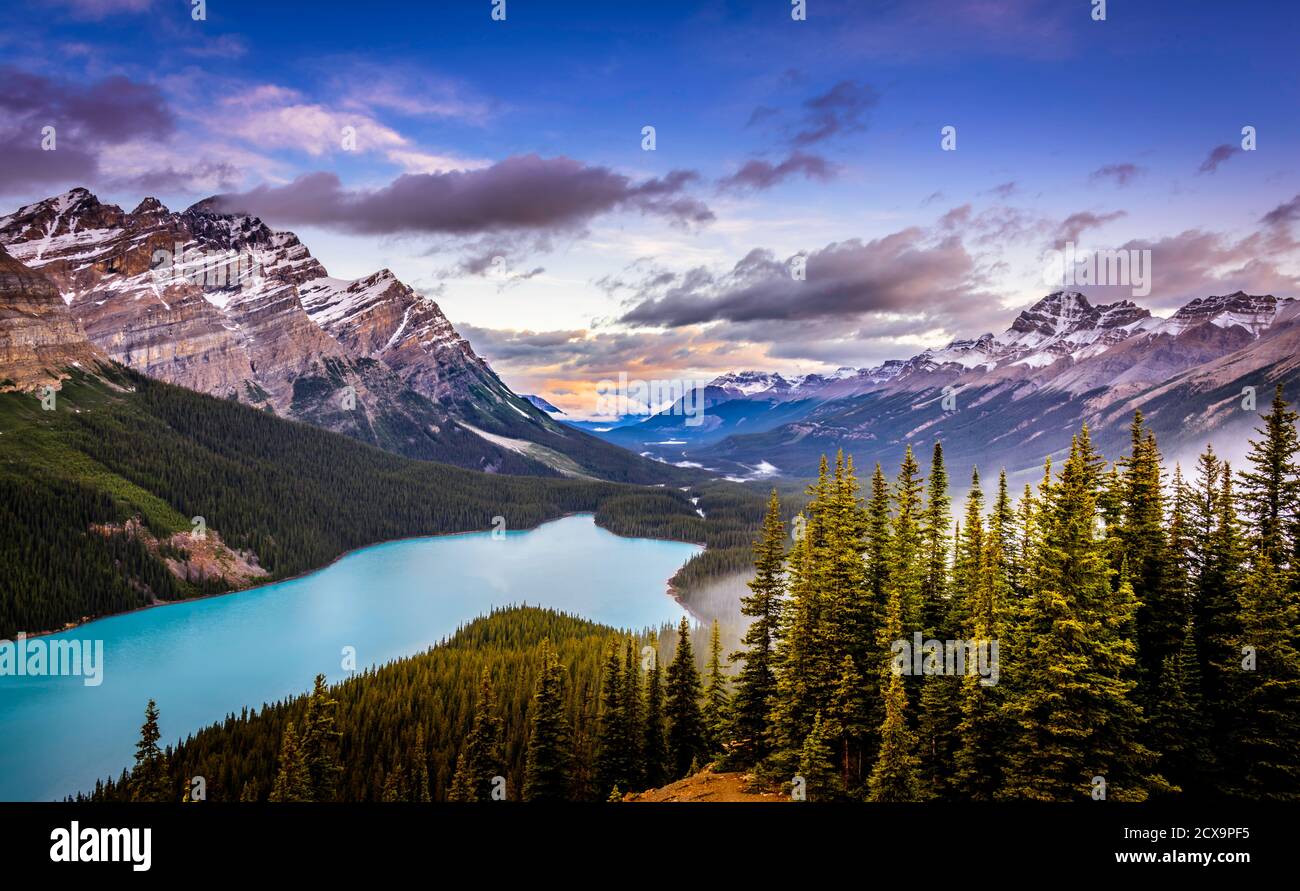 Peyto Lake es un lago alimentado por un glaciar en el Parque Nacional Banff en las Montañas Rocosas canadienses. El lago es de un color turquesa brillante, y un lugar increíble para Foto de stock
