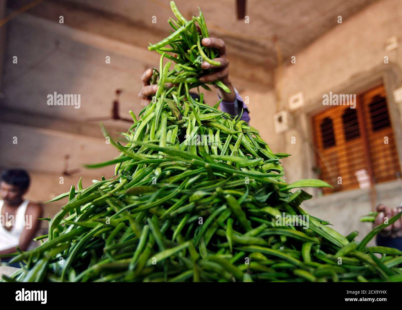 A farmer makes a heap of guar to sort them at Chiloda village in the  western Indian state of Gujarat November 22, 2014. Farmers worry that oil  firms a world away in