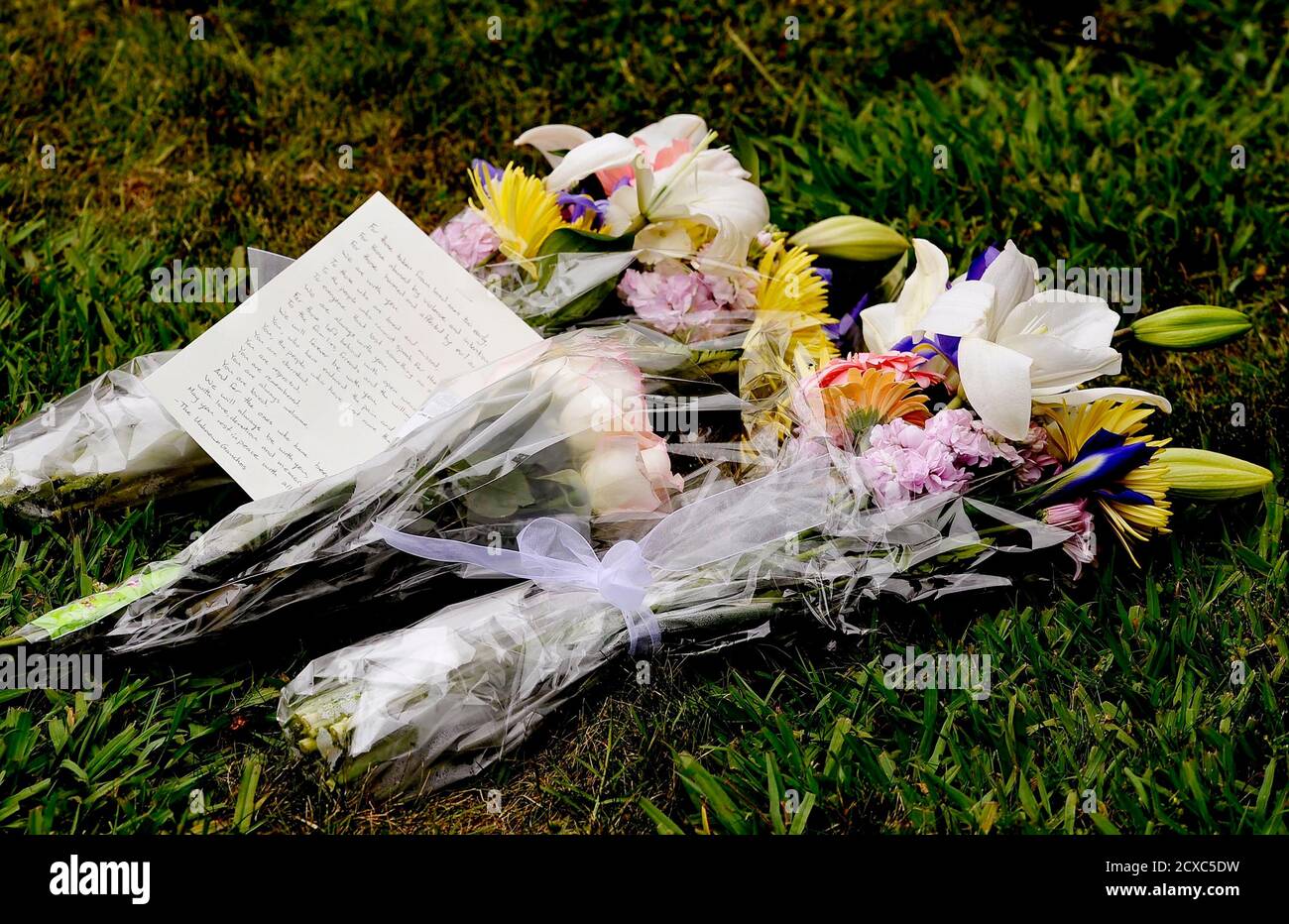 Bunches of flowers are placed on the lawn outside the Alpha Phi sorority house in a makeshift memorial after a series of drive-by shootings that left 6 people dead in the Isla Vista section of Santa Barbara, California May 24, 2014. A lone gunman sprayed bullets from a car in a drive-by shooting in a southern California college town, killing at least six people before his car crashed and he was found dead inside, authorities said on Saturday. Two of the fatalities and one of the wounded were shot outside the Alpha Phi house. Police have identified Elliot Rodger as the suspect in the shootings. Foto de stock