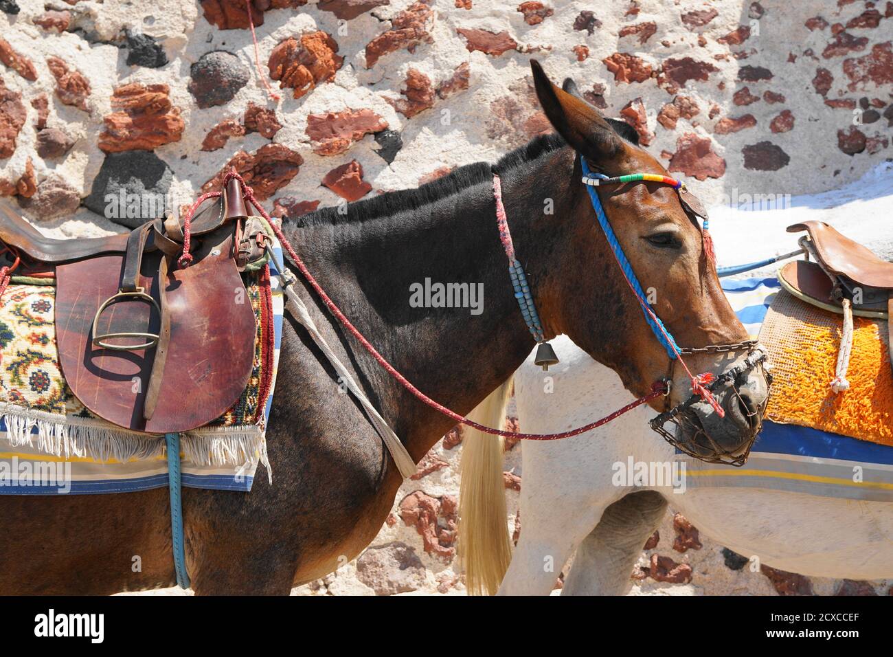 Burro de trabajo con silla de montar en Santorini, Grecia Fotografía de  stock - Alamy