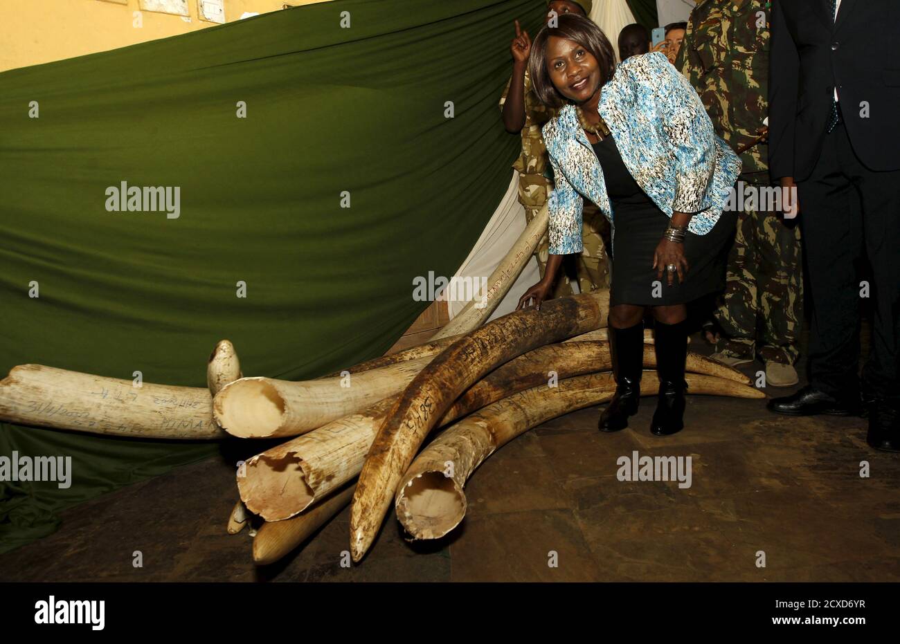 Judi Wakhungu, Secretario del Gabinete de Kenya, Ministerio de Medio Ambiente y Recursos Naturales, toca los colmillos de elefante recuperados de diversas operaciones en la sede de Kenya Wildlife Services (KWS) en la capital Nairobi, el 21 de julio de 2015, durante la puesta en marcha del inventario del arsenal nacional de marfil de elefante y cuerno de rinoceronte. El Kenya Wildlife Service (KWS) realiza una auditoría anual de la reserva de trofeos del gobierno, según el KWS. REUTERS/Thomas Mukoya Foto de stock