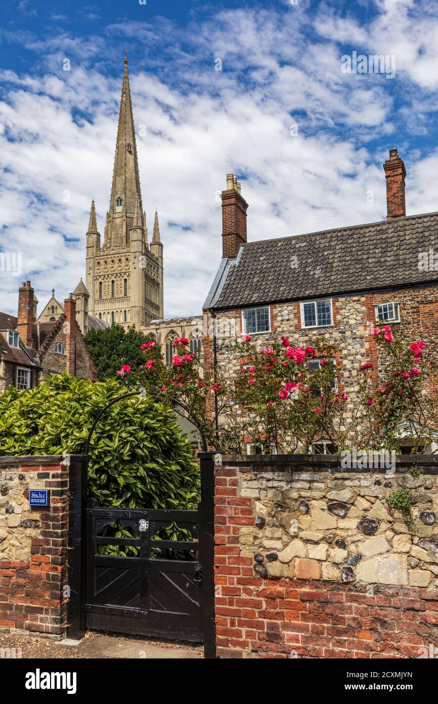 Cerca de la Catedral de Norwich se encuentra Cathedral Close, que contiene pintorescas propiedades georgianas, Norfolk, Inglaterra Foto de stock