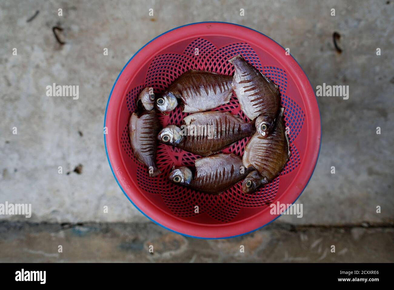 aa bolsagage restrictions