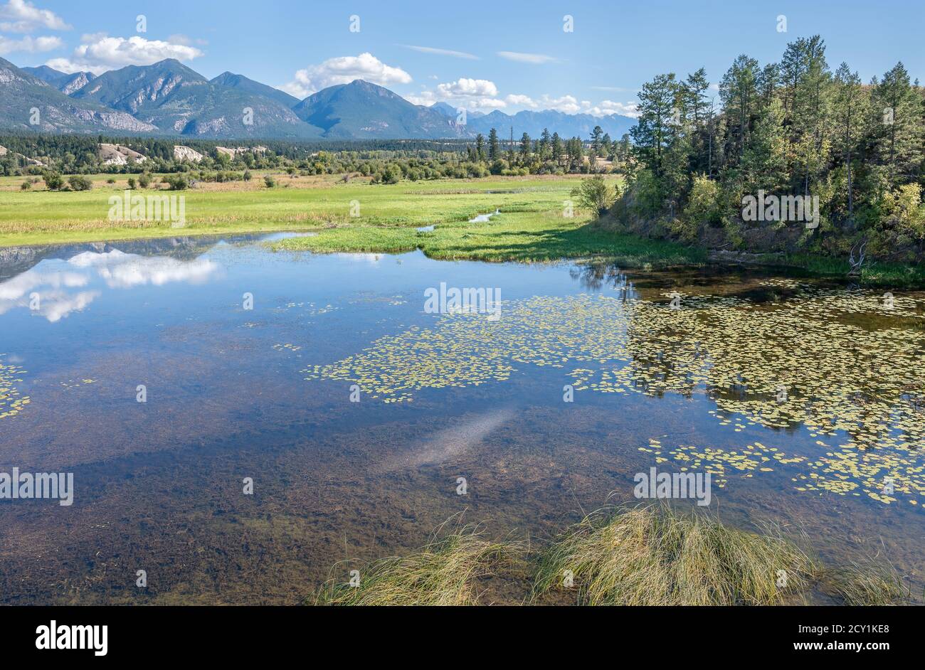 Humedales en el Área Nacional de vida Silvestre de Columbia (también conocida como Wilmer Bird Sanctuary) en Wilmer, Columbia Británica, Canadá Foto de stock