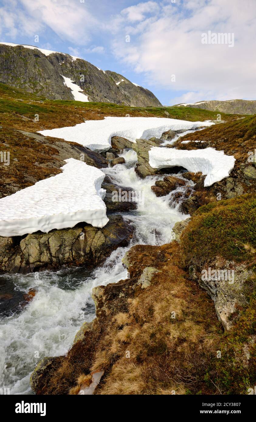 Arroyo de montaña de flujo rápido y nieve en una tierra alta Noruega durante el verano Foto de stock