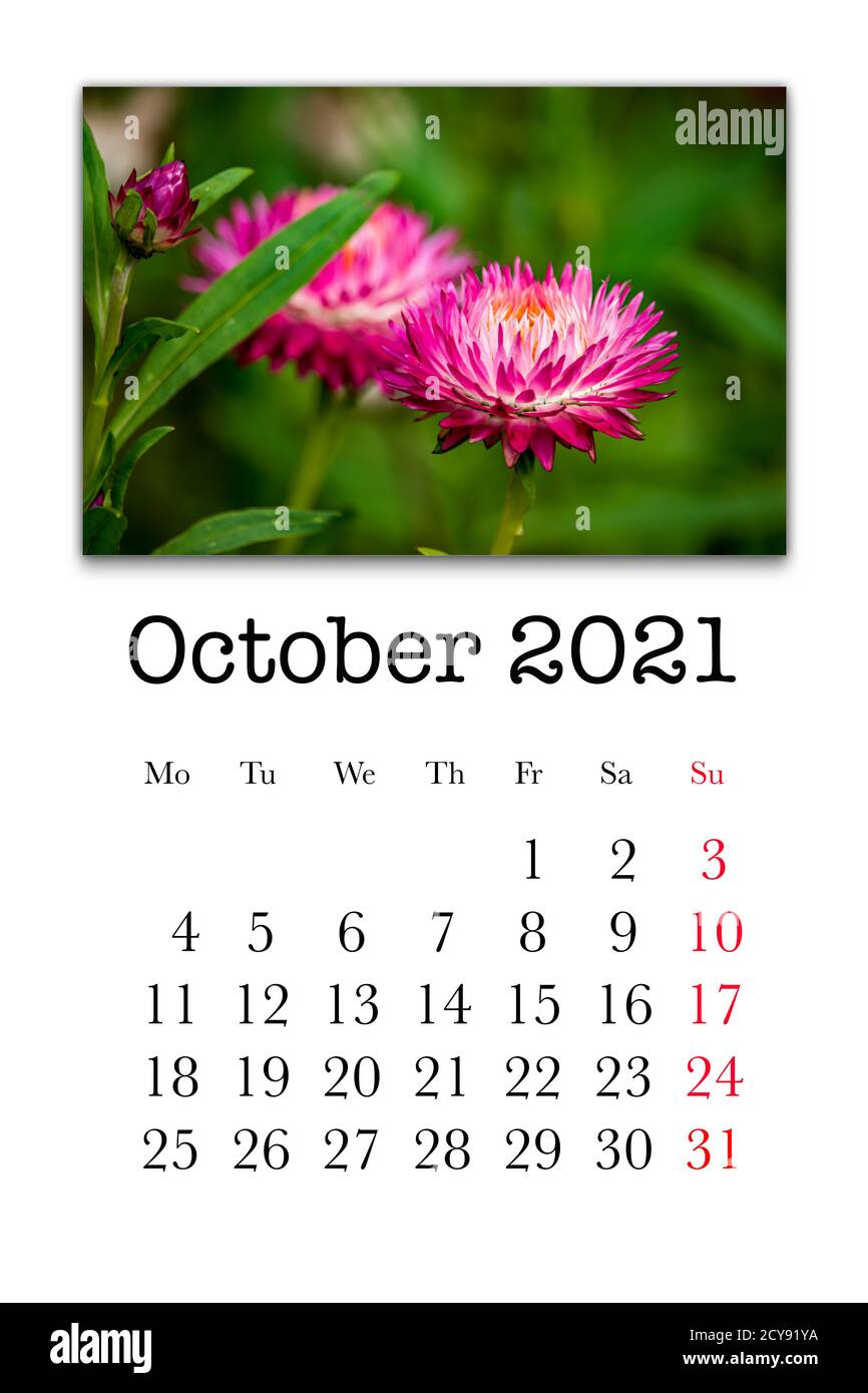 Tarjeta de calendario para el mes de octubre de 2021 Fotografía de stock -  Alamy