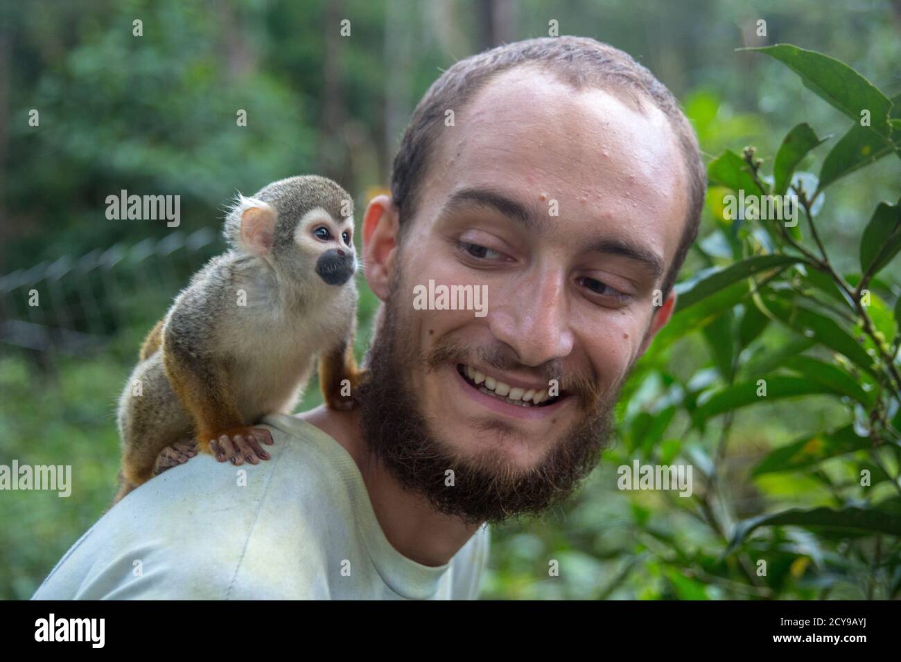 Dedo mono fotografías e imágenes de alta resolución - Alamy