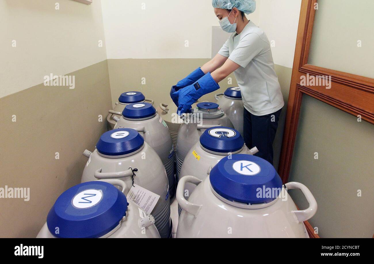 An Employee Checks Tanks Filled With Liquid Nitrogen Which Are Used To 