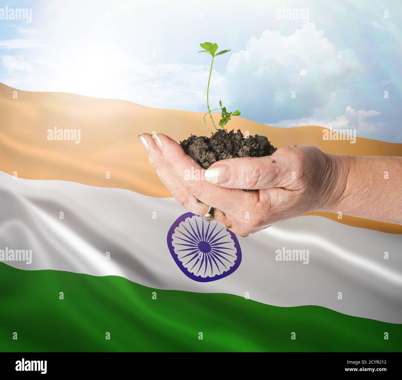 India crecimiento y nuevo comienzo. Concepto de energía renovable verde y ecología. Mano sosteniendo planta joven. Foto de stock