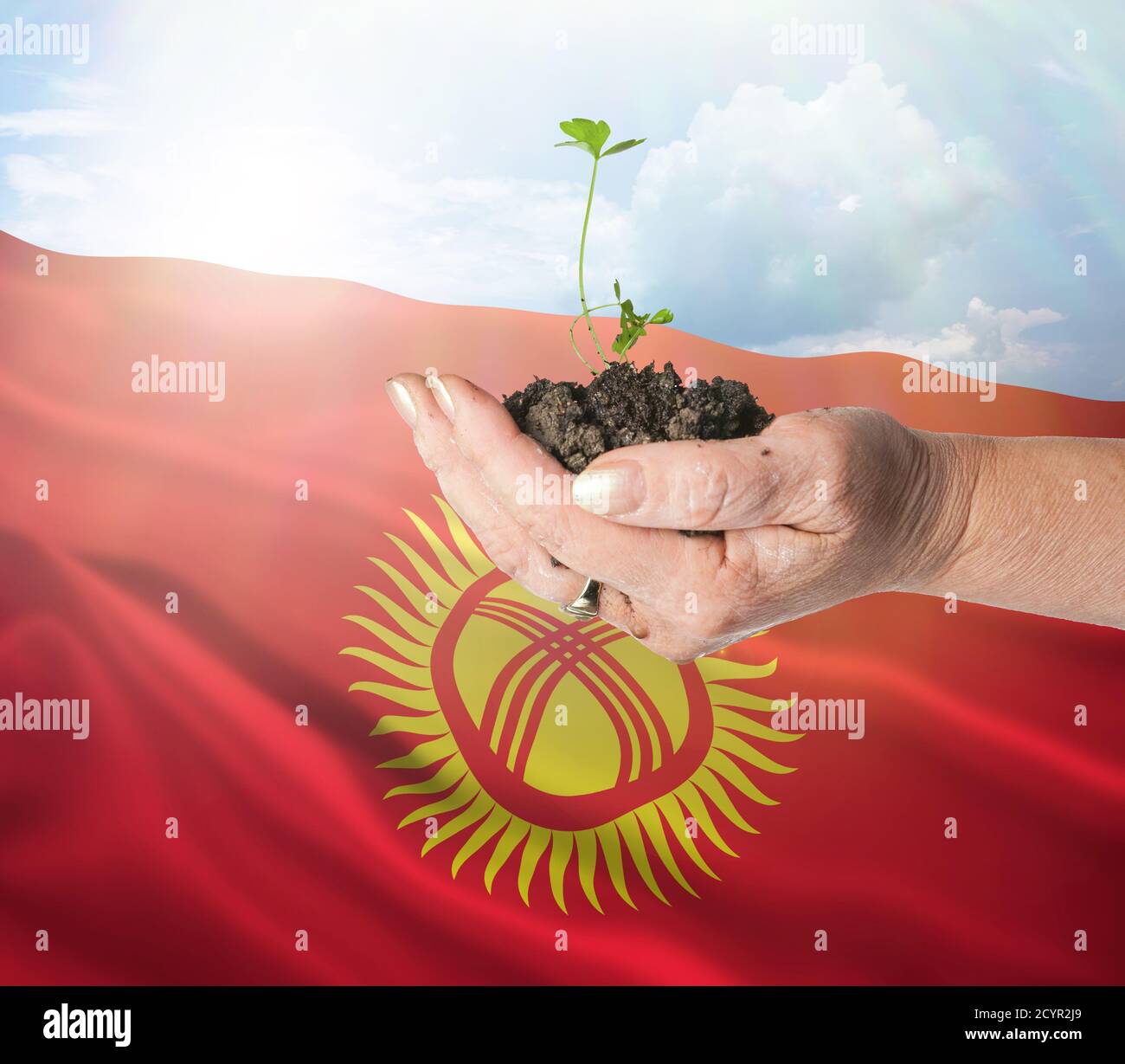 Kirguistán crecimiento y nuevo comienzo. Concepto de energía renovable verde y ecología. Mano sosteniendo planta joven. Foto de stock