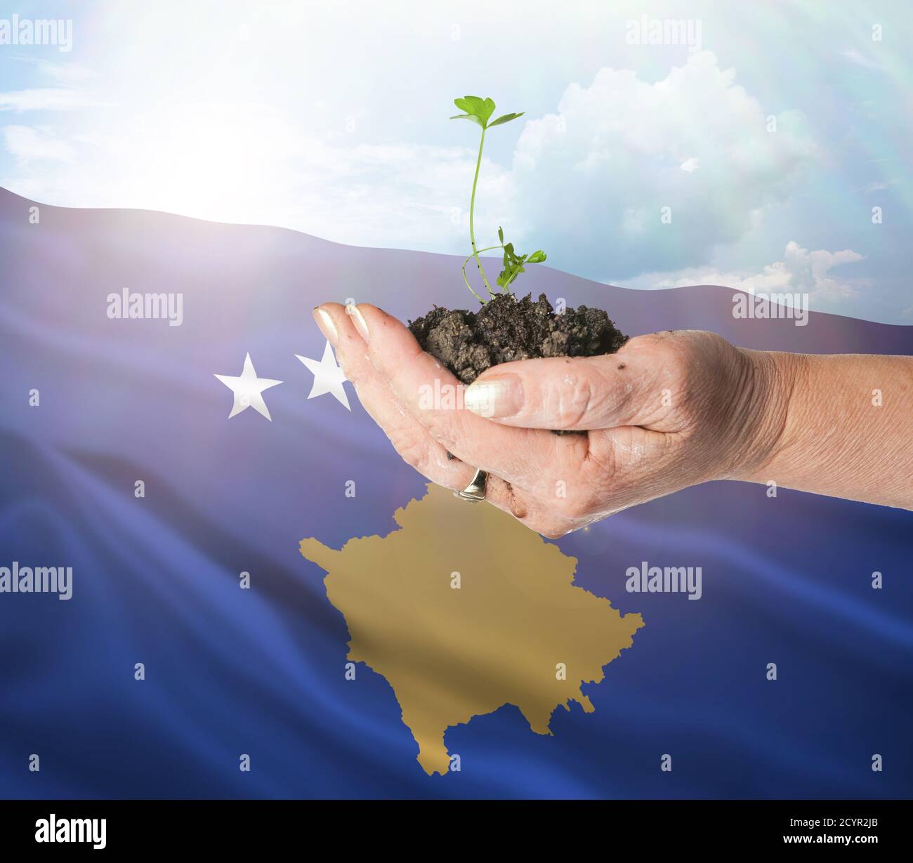 El crecimiento de Kosovo y un nuevo comienzo. Concepto de energía renovable verde y ecología. Mano sosteniendo planta joven. Foto de stock