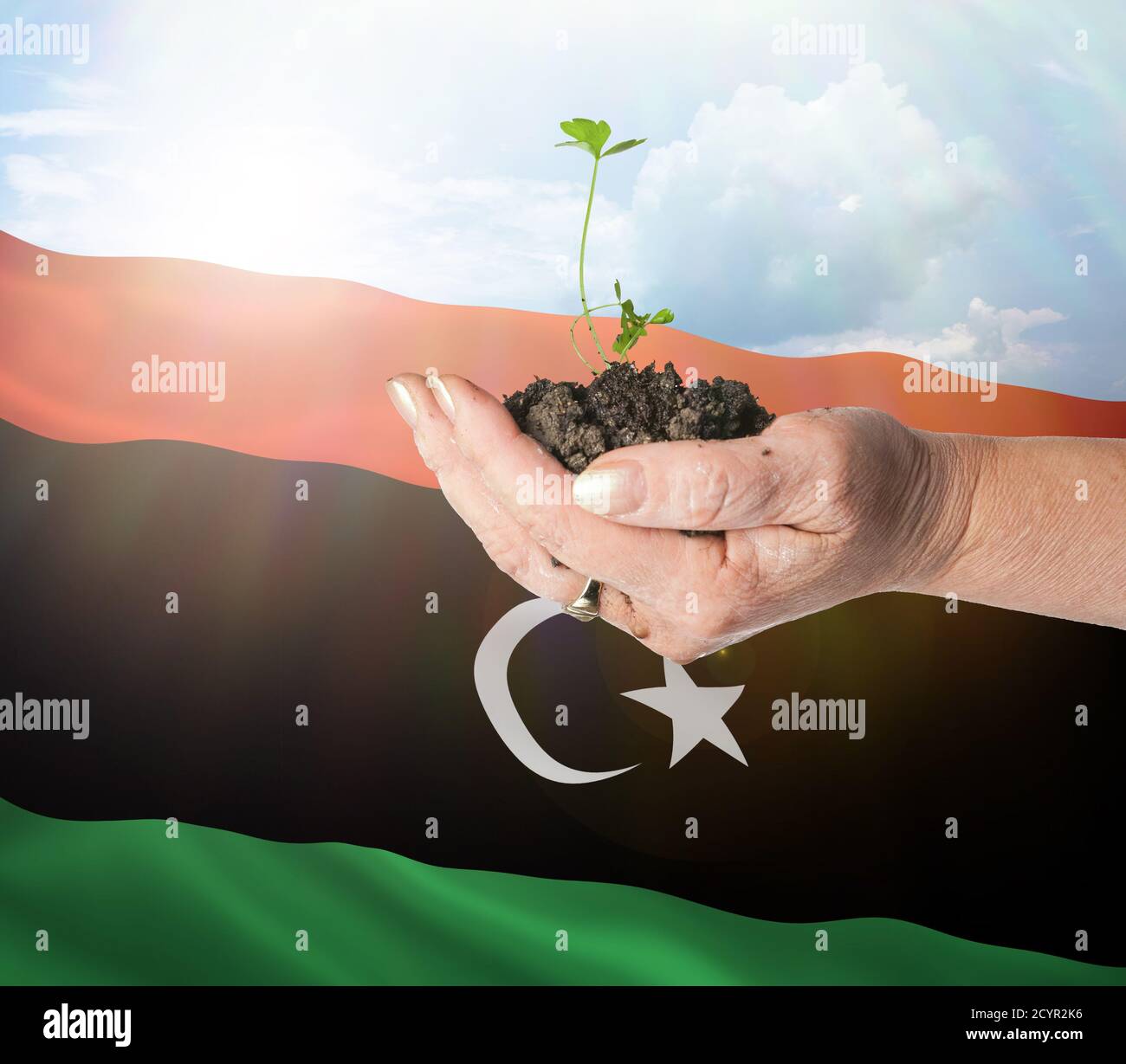 El crecimiento de Libia y el nuevo comienzo. Concepto de energía renovable verde y ecología. Mano sosteniendo planta joven. Foto de stock