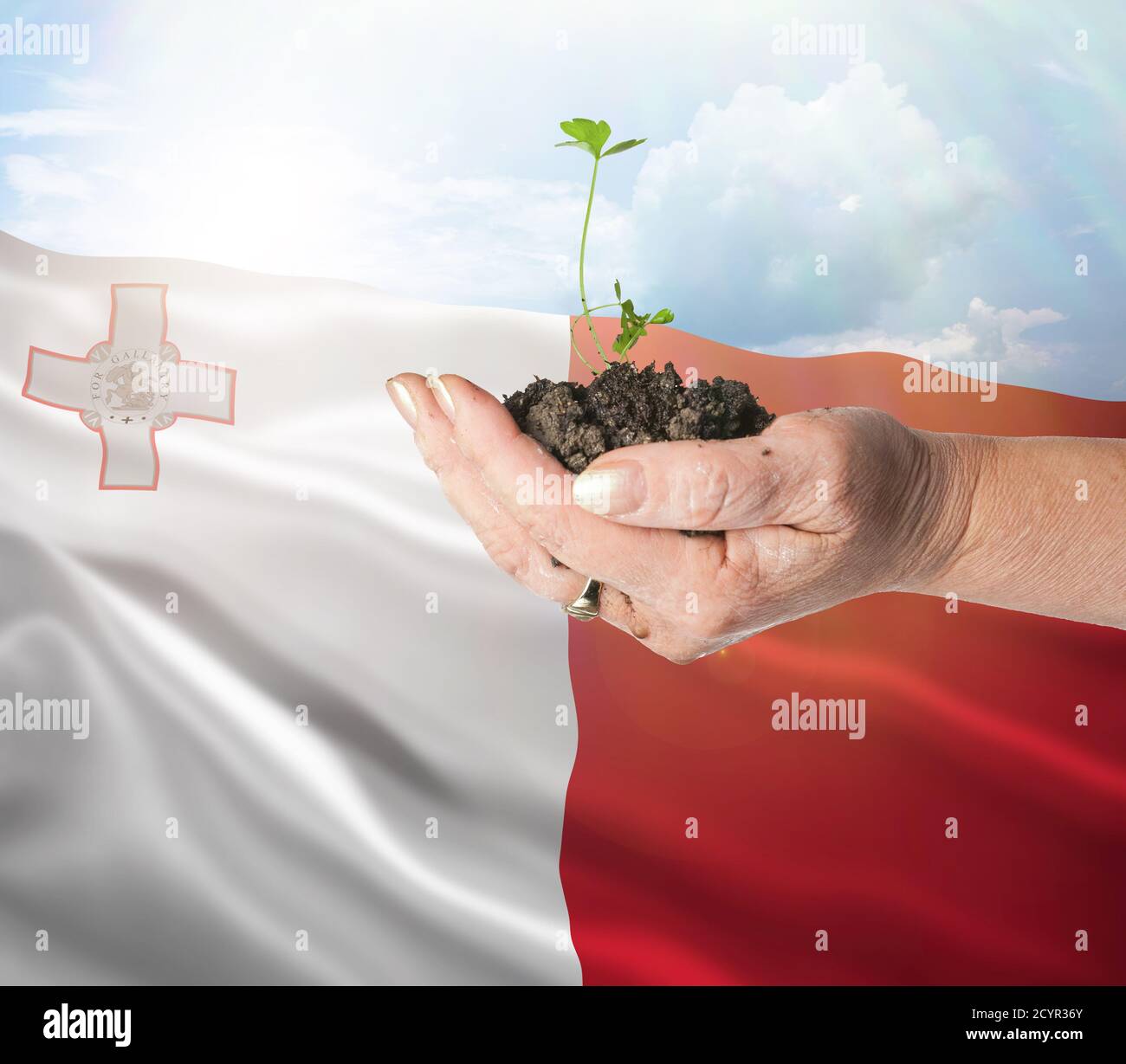 Malta crecimiento y nuevo comienzo. Concepto de energía renovable verde y ecología. Mano sosteniendo planta joven. Foto de stock