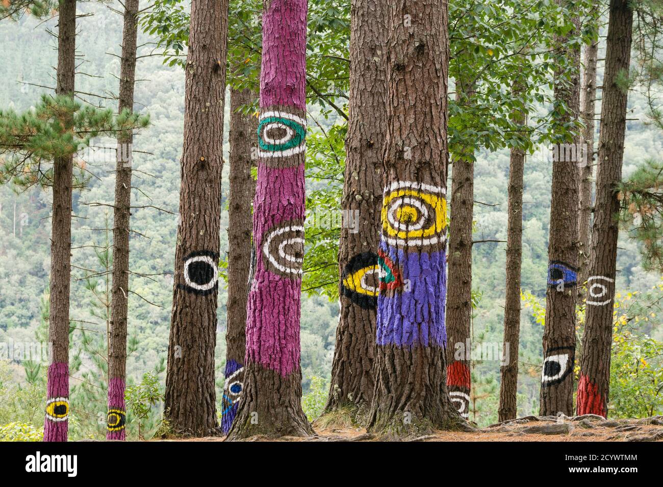 bosque de Oma, ojos del pasado y del presente, 1984, Agustin Ibarrola,Kortezubi, Vizcaya,Euzkadi, España Foto de stock